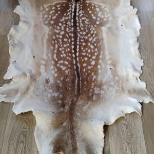 Vild dovhjortsskinn, heminredningsmatta