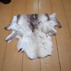 May include: A natural animal hide rug featuring a thick, soft coat with a colour gradient transitioning from white at the edges to a darker, brownish-grey tone along the centre spine. The pelt has an irregular, organic shape with multiple extensions.