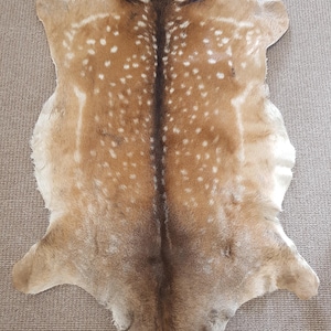 May include: A natural deer hide rug featuring a tan and brown coat with a distinct pattern of white spots across the back. A dark brown stripe runs vertically down the centre of the hide, which has an irregular, organic shape with four limbs.