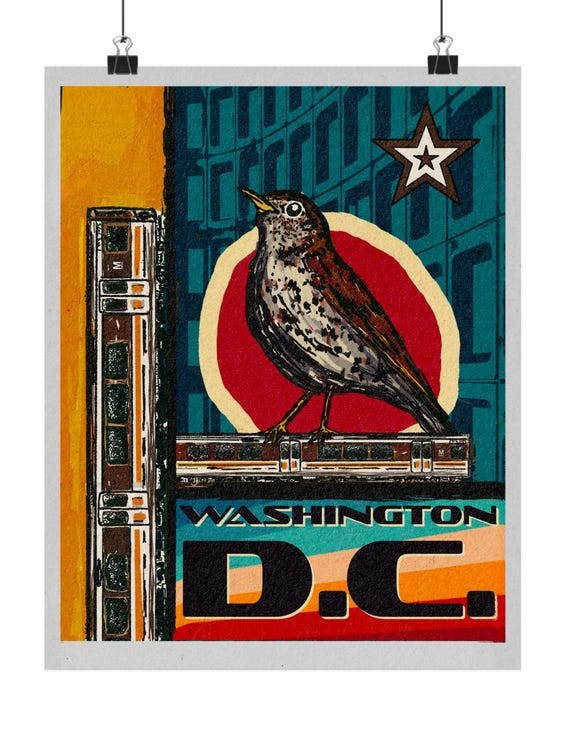 Washington DC Metro, Vintage Bird Club Poster, Matte Vertical Posters, WMATA, Brutalist, 70s Colors, Wall Art Home Decor