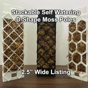 Stackable Self-Watering Moss Pole - D Shape - 2.5" Wide