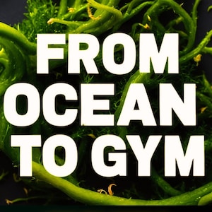 以下が含まれることがあります： 鮮やかな緑色のシーモス（海藻）の画像。テキスト「FROM OCEAN TO GYM」と、その下に「HOW SEA MOSS IS TRANSFORMING NUTRITION FOR FITNESS ENTHUSIASTS」と書かれています。左上にはApexのロゴがあります。