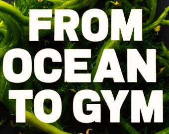 Come il muschio marino sta trasformando l'alimentazione per gli appassionati di fitness PDF Ebook digitale