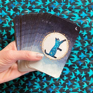 May include: A deck of cards with a blue cat jumping in a circle of stars and a crescent moon on the top card. The cards have a dark blue background with gold accents.