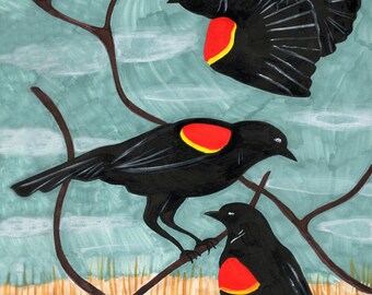 Red Winged Blackbirds print by Amanda Laurel Atkins