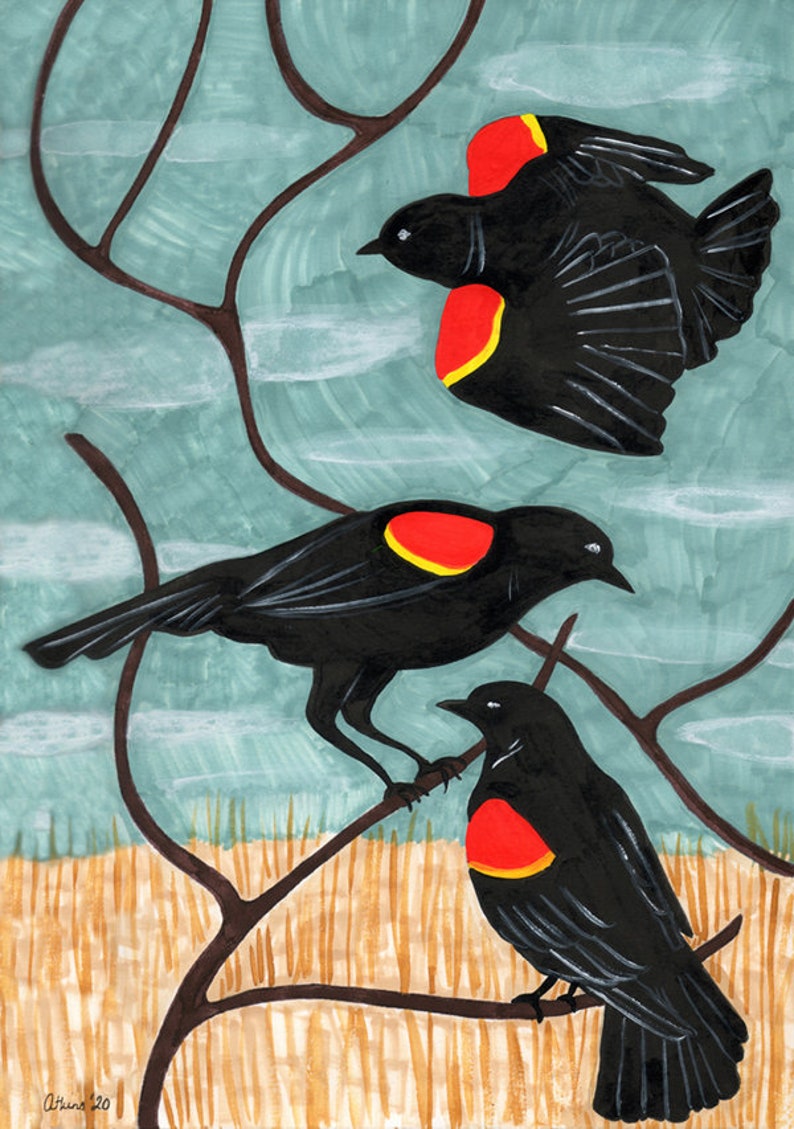 Red Winged Blackbirds Print by Amanda Laurel Atkins - Etsy