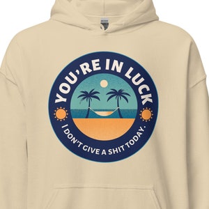 Funny Hoodie, Sarcastic Hoodie, Snarky Hoodie, Fathers Day Gift, Mothers Day Gift, Funny Gift, Birthday Gift, Christmas Gift, Adult Humor