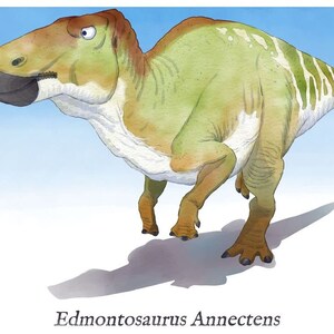 Edmontosaurus Print, Dinosaur Wall Art, Kids Decor Printable ...