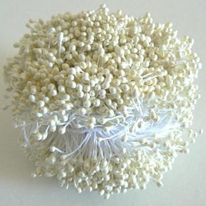 May include: A bunch of white pearl-like flower buds on thin white stems. The buds are clustered together and are perfect for adding a touch of elegance to floral arrangements.