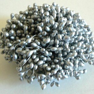 May include: A bunch of silver berry sprigs, perfect for adding a touch of sparkle to floral arrangements.