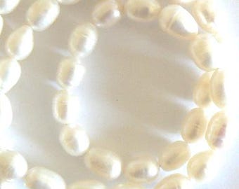 May include: A strand of white pearl beads, arranged in a circular pattern on a white background.