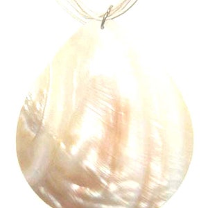 Puede incluir: Un collar con un colgante de concha nacarada blanca y un cierre plateado. La concha es lisa y tiene un acabado nacarado.