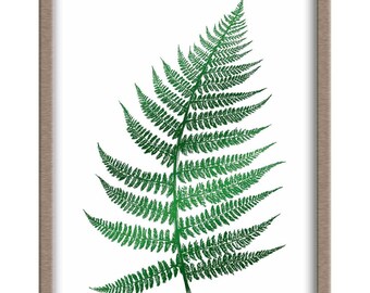 Fern Foiled Print