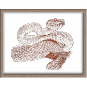 Snake Foiled Print