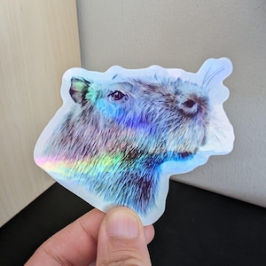 Capybara Holographischer Sticker