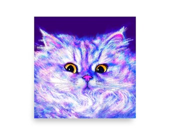 Collection Close Encounters - Floof - Gros plan représentant un chat blanc duveteux