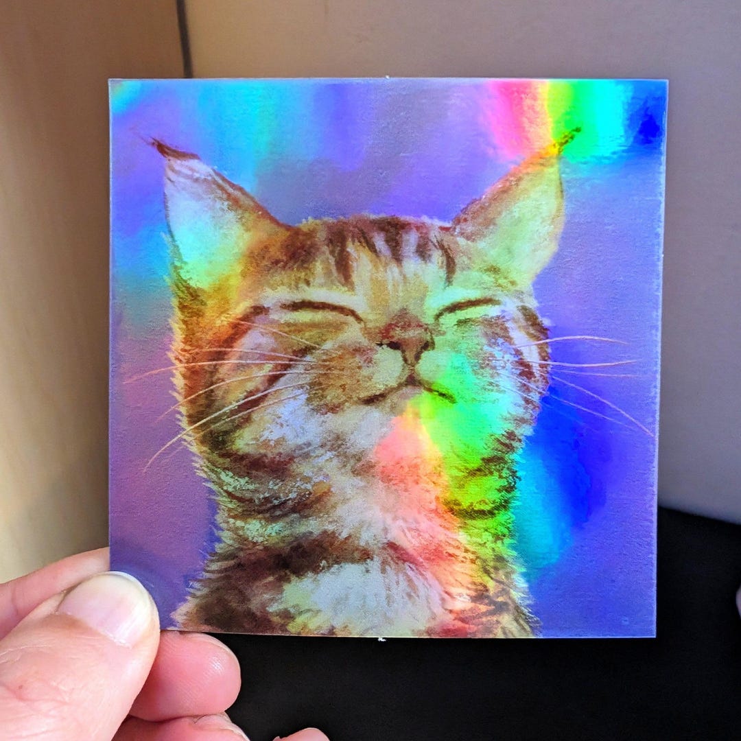 Holographic Orange Cat Sticker - Ginger Kitty Rainbow Decal - Etsy