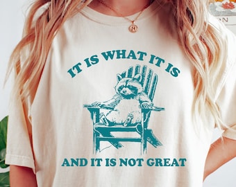 It Is What It Is And It Is Not Great Shirt, Mental Health T Shirt, Funny Sweatshirt Women, Meme Sweatshirt, Raccoon Shirt, Gag Tee