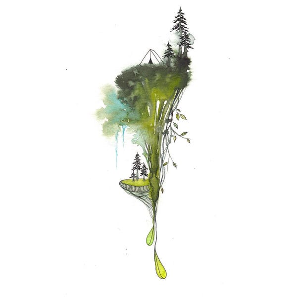 evergreen - Minidruck