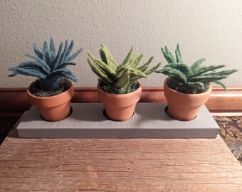 Trio of Succulents, Felt Succulents, No Care Succulents