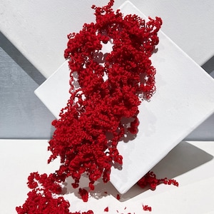 May include: Red curly yarn spilling from a white canvas, creating a dramatic and abstract art piece.