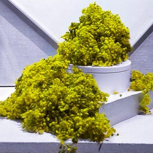 May include: A still life composition featuring bright yellow, textured floral arrangements cascading over a white cylindrical container and geometric platform. The background is a light gray with angled lines.