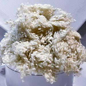 Undyed, Ecru Wool Nepps: felting, spinning fiber, nubby pebble texture