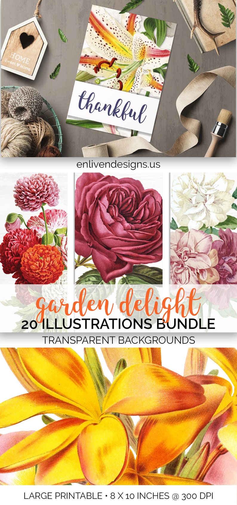 Flower Clipart Bundle Set Of Illustrations Printable Floral Download Clip Art Art Collectibles Flower Clipart Bundle Set Of Illustrations Printable Floral Download Clip Art Art Collectibles