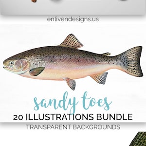 Trout Bundle Clipart - Fish Instant Digital Download - Lake Trout Printable Wall Art