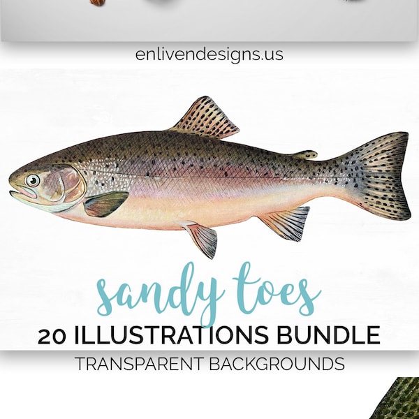 Trout Bundle Clipart - Fish Instant Digital Download - Lake Trout Printable Wall Art