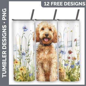 Pode incluir: Uma ilustração em aquarela de um cão poodle dourado com uma cerca branca de estacas e flores no fundo. O cão está sentado e olhando para o espectador. A imagem é projetada para ser usada em um copo.