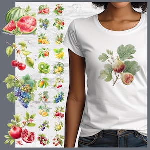 Könnte beinhalten: Ein weißes T-Shirt mit einer Aquarellillustration eines Feigenzweigs mit zwei Feigen und grünen Blättern. Links daneben eine Sammlung von zwanzig Obst-Cliparts, darunter Wassermelone, Weintrauben, Kirschen, Granatapfel und Zitrusfrüchte auf weißem Grund.