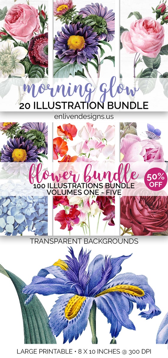 Flowers Clipart Set Bundle Commercial Use Vintage Instant Etsy Flowers Clipart Set Bundle Commercial Use Vintage Instant Etsy