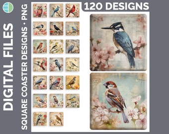 Vintage Birds Coaster Bundle Sublimation PNG Best Sellers Sublimation Designs | Style Set 1 of 2 | Square Coasters HUGE Bundle Download
