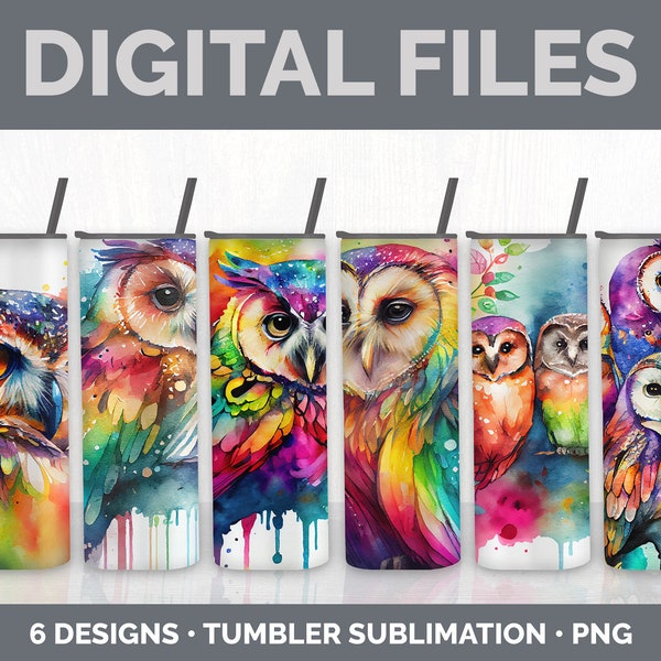 Rainbow Owl Tumbler Bundle, Watercolor Birds 20 oz Skinny Tumbler Designs - Owl Sublimation Instant Download