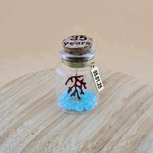 35e koraal huwelijksverjaardag gepersonaliseerd cadeau, cadeau voor vrouw echtgenoot vriend, minifles creatief cadeau, 35 jaar huwelijkscadeau #35
