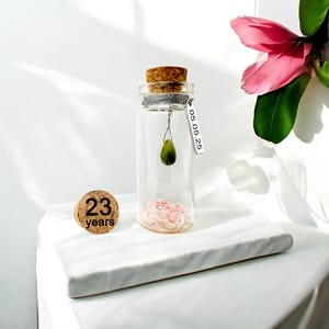 23e cadeau d'anniversaire de mariage Béryl, meilleur cadeau pour un couple, un ami, une femme, son mari, 23 ans d'anniversaire de mariage, une mini bouteille souvenir