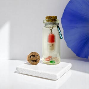 Mini cadeau médecin/retraite, mini bouteille souvenir symbolique, cadeau personnalisé, cadeau de retraite, cadeau de retraite pour parent, ami, collègue