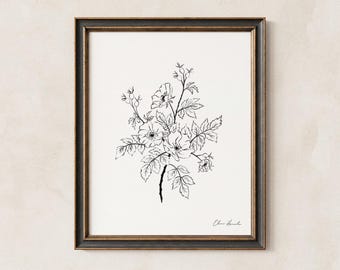 Rosa - Flor de nacimiento de junio, lámina artística con dibujo lineal, arte floral botánico de estilo cottagecore para pared, sin marco.