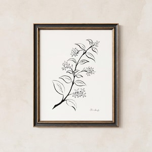 May include: A framed wall art print featuring a black ink botanical illustration of a jasmine branch with leaves and small star-shaped flowers on a white background. The frame is dark brown with gold trim. The artist's signature is in the bottom right.