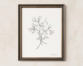 Guisante de olor - Flor de nacimiento de abril, lámina artística con dibujo lineal, ilustración botánica de flores, sin marco.