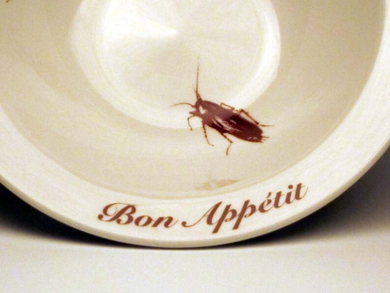 BON APPETIT cockroach cereal bowl Etsy