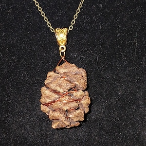 May include: A handcrafted pendant necklace featuring a cluster of textured, brown organic material wrapped with copper wire. The pendant hangs from a delicate gold-colored chain. The necklace is displayed against a dark background.