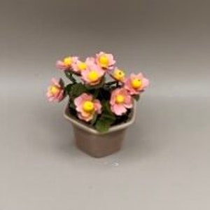 May include: A small potted plant with pink flowers and yellow centers. The plant is in a hexagonal brown pot.