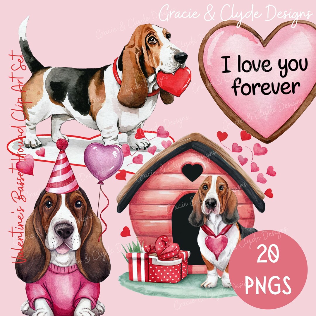 Valentine's Basset Hound Clip Art Set, 20 Pngs, Valentine's Day