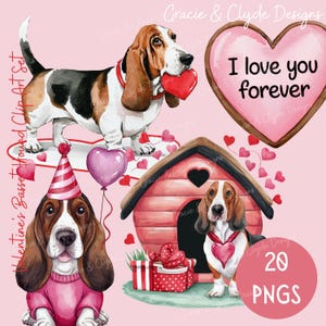 Ensemble de clip art basset hound de la Saint-Valentin, 20 PNG, clipart Saint-Valentin, clipart chien, amoureux des chiens PNG, cadeau chien, bricolage carte de la Saint-Valentin, lévrier