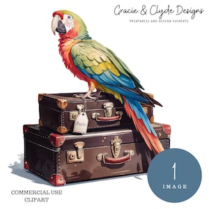 Gefiederter Voyager, Vintage Papagei Clipart, PNG, Bunter Ara auf Koffern, Reise Aquarell Sublimation