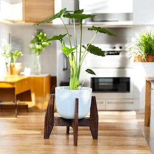 Exclusivo soporte para plantas de interior, regalo para la abuela/exhibición de plantas con patas niveladoras