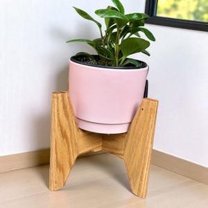 May include: A Peperomia plant in a light pink ceramic pot with a black rim, set on a natural wood plant stand. The stand has a mid-century modern design with angled legs. The plant has vibrant green leaves.