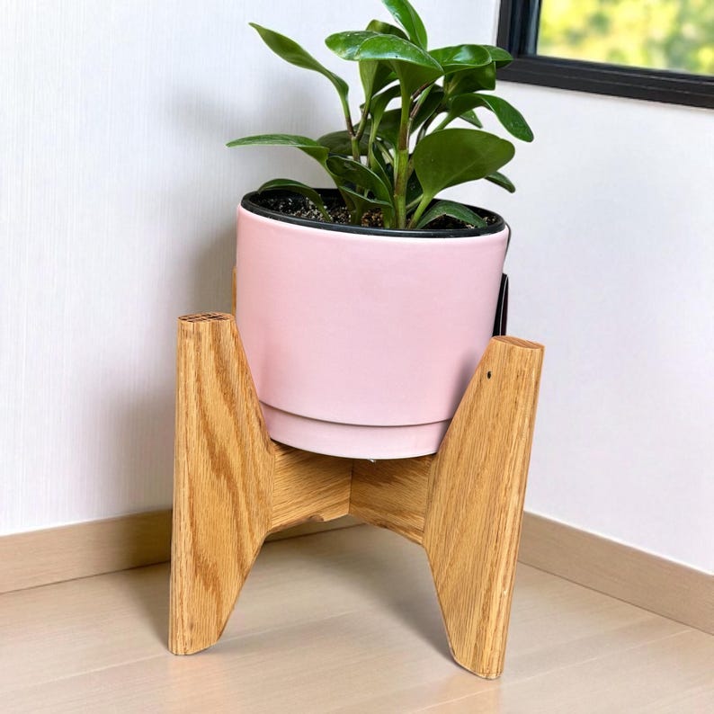 May include: A Peperomia plant in a light pink ceramic pot with a black rim, set on a natural wood plant stand. The stand has a mid-century modern design with angled legs. The plant has vibrant green leaves.